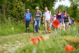 Champagne LECLERE-TORRENS -  Champagne LECLERE-TORRENS -