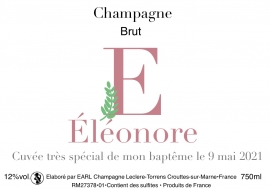 Champagne LECLERE-TORRENS - B.Rose