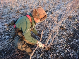 Champagne LECLERE-TORRENS -  Champagne LECLERE-TORRENS -