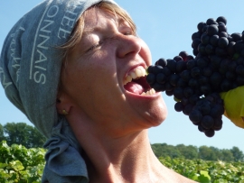 Champagne LECLERE-TORRENS -  Champagne LECLERE-TORRENS -