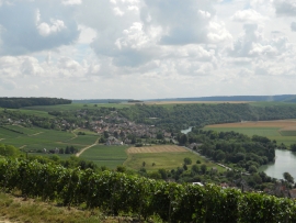 Champagne LECLERE-TORRENS -  Champagne LECLERE-TORRENS -